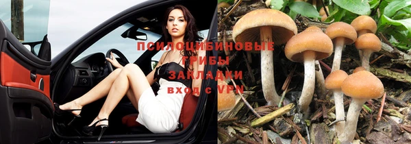 крисы Алексеевка